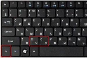How to Copy and Paste Text Using the Keyboard: Multiple Methods